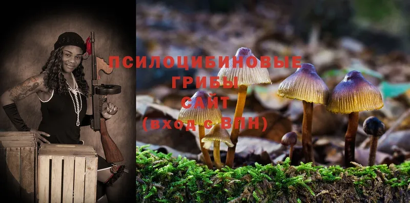 Псилоцибиновые грибы MAGIC MUSHROOMS  MEGA tor  Короча 